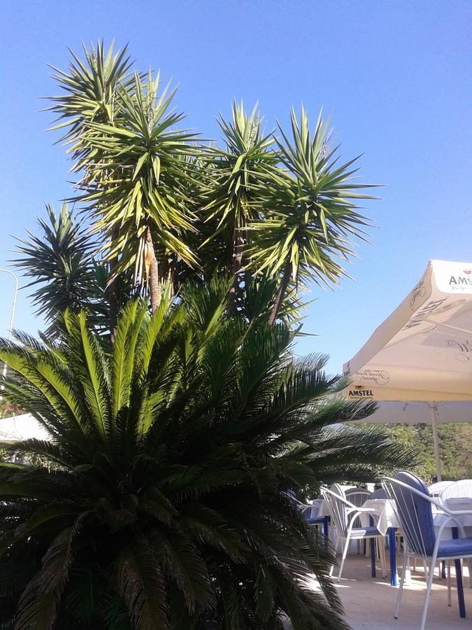 Hotel Jovana Budva Zewnętrze zdjęcie